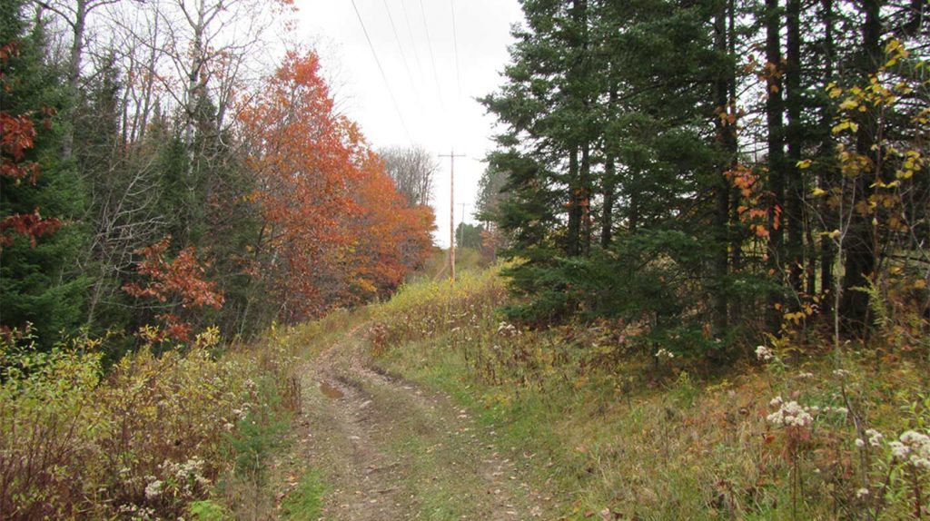 Forest County Potawatomi Community Bicycle & Pedestrian Path