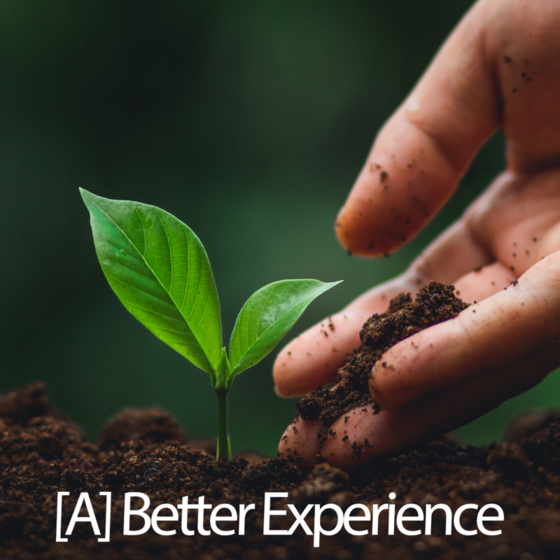 Grow Your Career at KL!