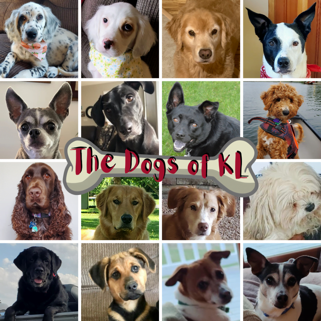 It's National Dog Day