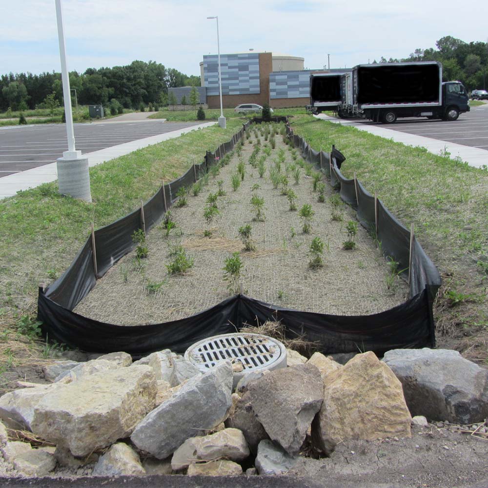 Drainage and Bioswale in Middle of Parking lot
