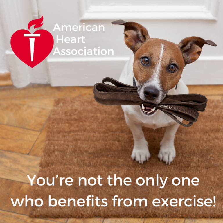 Graphic of a cute little dog with a leash in his mouth, asking to go out. 'You're not the only one who benefits from exercise!' text and American Heart Association logo.