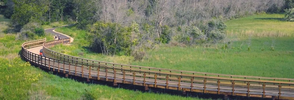 Beautiful new boardwalk meandering through wetlands.